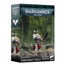 Sanguinary Priest (GW41-48)