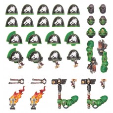 Salamanders Primaris Upgrades and Transfers (GW55-16)