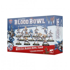 High Elf Blood Bowl Team: The Caledor Dragons (GW202-62) High Elf Blood Bowl Team: The Caledor Dragons (GW202-62)