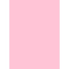 Sleeve - YGO Sleeves Pink (LGNZGOPNK)